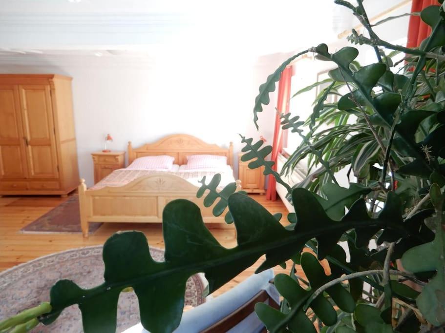 Laendliches Wohnen Zwischen Erfurt Und Gotha Apartment Exterior foto